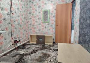 Дом 60м&sup2;, 1-этажный, участок 4 сот.  