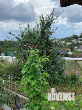 Дом 15м&sup2;, 1-этажный, участок 6 сот.  