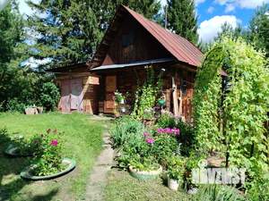 Дом 60м&sup2;, 1-этажный, участок 20 сот.  