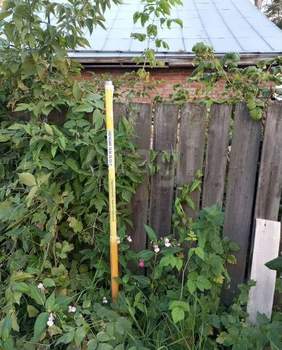 Дом 46м&sup2;, 1-этажный, участок 3 сот.  