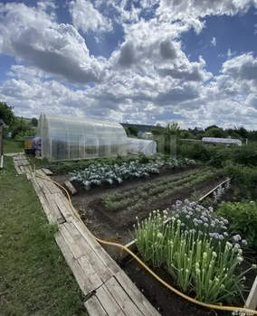 Дом 50м&sup2;, 2-этажный, участок 6 сот.  