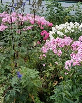 Дача 36м&sup2;, 1-этажный, участок 10 сот.  