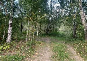 Дача 36м², 2-этажный, участок 7 сот.  