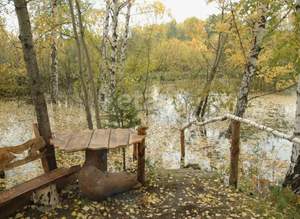 Дом 56м&sup2;, 2-этажный, участок 6 сот.  