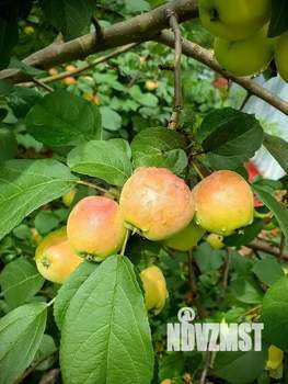 Дом 372м&sup2;, 3-этажный, участок 10 сот.  