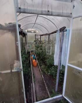 Дом 40м&sup2;, 1-этажный, участок 4 сот.  