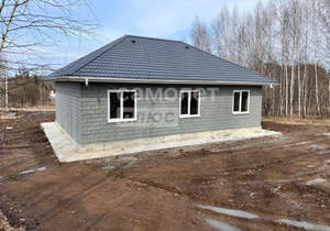 Дом 100м², 1-этажный, участок 16 сот.  