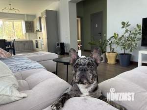 Дом 260м&sup2;, 2-этажный, участок 10 сот.  