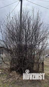 Дом 16м², 1-этажный, участок 6 сот.  