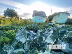 Дом 25м&sup2;, 2-этажный, участок 4 сот.  