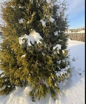 Дом 30м&sup2;, 2-этажный, участок 8 сот.  