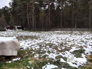 Дом 26м&sup2;, 1-этажный, участок 15 сот.  