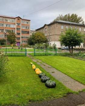 Дом 50м&sup2;, 2-этажный, участок 3 сот.  