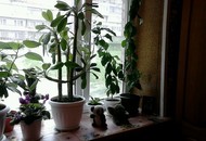 Фото комнаты на продажу (8)