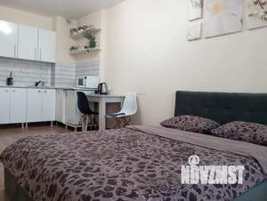 Студия квартира, посуточно, 25м2, 16/17 этаж