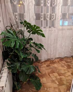 2-к квартира, на длительный срок, 53м2, 2/6 этаж