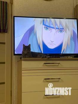 1-к квартира, на длительный срок, 29м2, 3/5 этаж