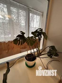 2-к квартира, на длительный срок, 41м2, 2/9 этаж