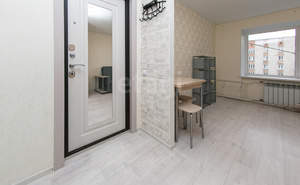 Студия квартира, на длительный срок, 17м2, 7/9 этаж