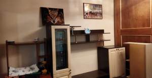 1-к квартира, на длительный срок, 37м2, 3/10 этаж