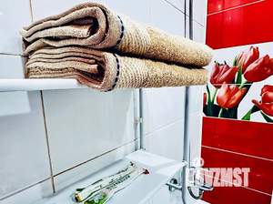 Студия квартира, посуточно, 14м2, 4/4 этаж