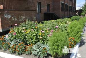 2-к квартира, на длительный срок, 47м2, 1/11 этаж