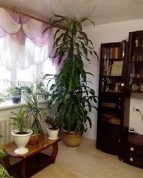 2-к квартира, вторичка, 69м2, 4/5 этаж