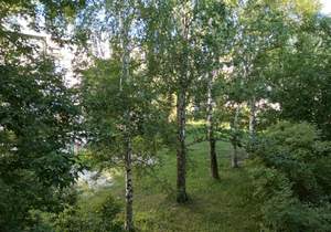 3-к квартира, вторичка, 57м2, 3/5 этаж