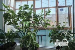 2-к квартира, вторичка, 43м2, 2/5 этаж