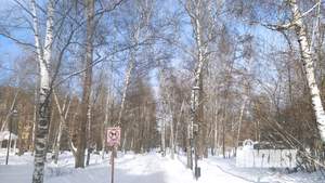 3-к квартира, вторичка, 180м2, 5/7 этаж