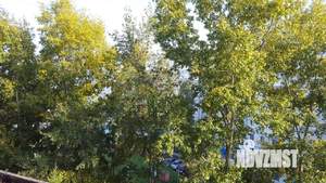 1-к квартира, вторичка, 35м2, 6/9 этаж