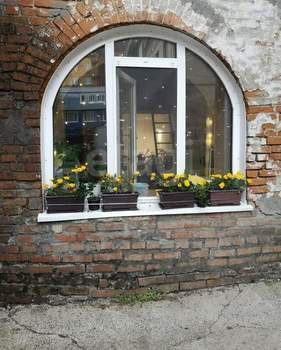 Студия квартира, вторичка, 24м2, 1/2 этаж