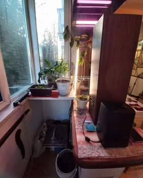 2-к квартира, вторичка, 43м2, 2/4 этаж