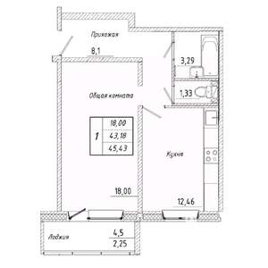 1-к квартира, вторичка, 45м2, 1/17 этаж